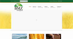 Desktop Screenshot of bmzbio.com